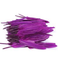 ✈READY STOCK✈100Pcs Colorful goose feather Cosplay DIY