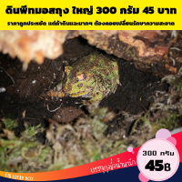 ดินเลี้ยงกบ Horned Frog ฮอร์นฟรอก Pacman Frog ดินพีทมอส 1 ลิตร 45 บาท รุ่นประหยัด Vivarium Exotic pet