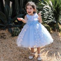 （HOT） European and cross-border childrens dress three-dimensional flower fluffy girl baby wedding