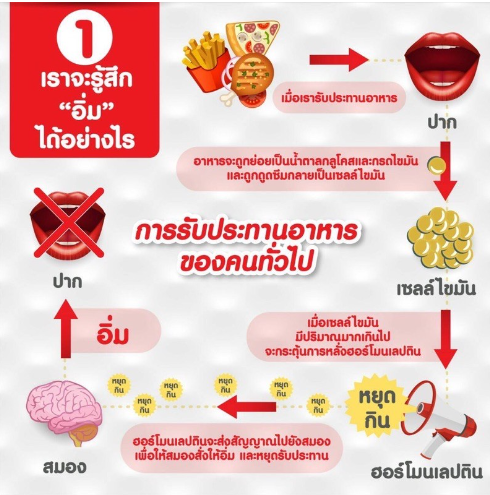 ส่งฟรี-วิตามิน-อาหารเสริม-ลดความอยากอาหาร-เลปติโก-พลัส-เอ็ม-กิฟฟารีน-leptigo-plus-m-giffarine