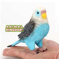 Animal Kingdom - โมเดล Budgeriger นก หงส์หยก ฟ้า ขนาด 18.00 CM (จากสงขลา)