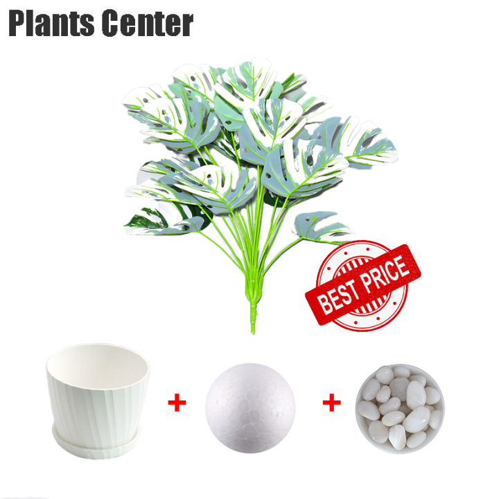 plants-center-พร้อมส่ง-p005-ต้นไม้ปลอม-monstera-มอนสเตอร่าด่าง-ตกแต่งบ้าน-แต่งสวน-ส่งที่ไทยค่ะ-ต้นไทรใบสักเสม-12ใบ-สูง65cm-18ใบ-สูง85cm