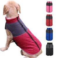 ✲♘ Dogs Clothes Pets Warm Waterproof Dog Jacket Hoodies Waterproof - Dog Coat Winter - Aliexpress