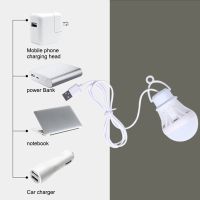 Mini Bulb 3W 5V LED USB Power Book Light LED Lantern Portable Camping Lamp LED Reading Student Study Table Lamp Super Birght