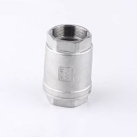 1/2" 3/4” 1” 1-1/4" 1-1/2" 2” BSPT Stainless Steel SS304 Vertical Lift In Line Spring Check Valve DN15 DN20 DN25 DN32 DN40 DN50