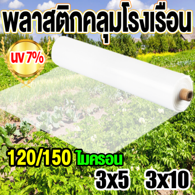 พลาสติกคลุมโรงเรือน โรงเรือน พลาสติกโรงเรือน ขนาด 3x5 4x5 3x10 4x10 5x7 5x10 6x10 6x15 พลาสติกใสโรงเรือน PE พลาสติกโรเรือน พลาสติกใสคลุม กันสาด ปูบ่อ Green House พาสติกโรงเรือน สีใส โรงเรือนแคคตัส คลุมหลังคา พลาสติกใสกันฝน พลาสติกโรงเรือน โรงเรือน