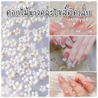 ดอกไม้ขาวคละไซส์ แถมเกสรสีทอง  ขนาด 5 กรัม