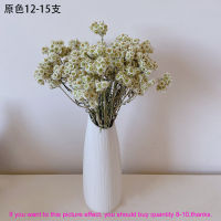 1 Bunch Flowers Mini Small Daisy Flowers Bouquet Vivid Natural Plants Preserve Floral for Wedding Home Decor