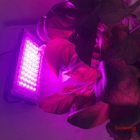 Suiweng ไฟ Grow LED 220V 50W ไฟ LED อัตโนมัติโคมไฟปลูกพืช