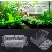 High Clear Fish Breeding Box Acrylic Aquarium Breeder Box Double Guppies Hatching Incubator Isolation