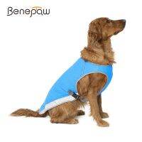 Benepaw Durable Dog Cooling Vest Summer Adjustable Breathable Mesh Evaporative Cool Pet Clothes Reflective Strips Puppy Jacket