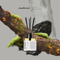 MEDIUMS REED DIFFUSER - CHÂEAU NOIR OAK MOSS + SMOKE I ก้านหอมปรับอากาศ ชาโตวนัวร์ กลิ่นโอคมอสและหมอก