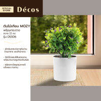 DECOS ต้นไม้เทียม พร้อมกระถาง 22 ซม. MOZY รุ่น DS506 |EA|