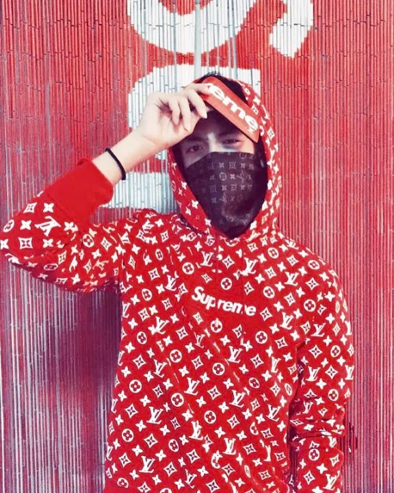 LOUIS VUITTON X SUPREME, BOX LOGO HOODIE, 2017, Hip Hop, 2020