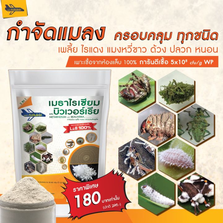 ของเเท้100-ยากำจัดแมลง-500-100-กรัม-บิวเวอร์เรีย-เมธาไรเซียม-กัปตันเมธา-บิว-ยาฆ่าแมลง-มีส่วนผสมของสารจับใบ-ปลอดภัย