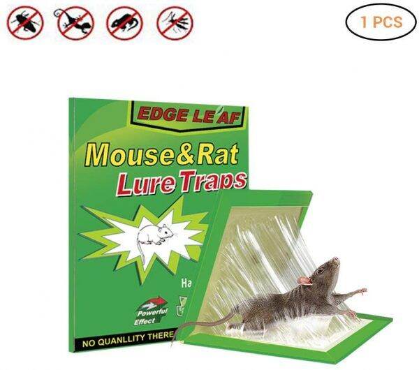 YTS MOUSE AND RAT LURE TRAPS | Lazada PH