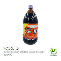 ไอโอดีน เอ Iodine A สินค้ามีทะเบียน ฆ่าเชื้อจุลินทรีย์ แบคทีเรีย เชื้อโรคในบ่อเลี้ยงสัตว์น้ำ เครื่องมือ พื้นผิว เอสเอฟฟาร์ม