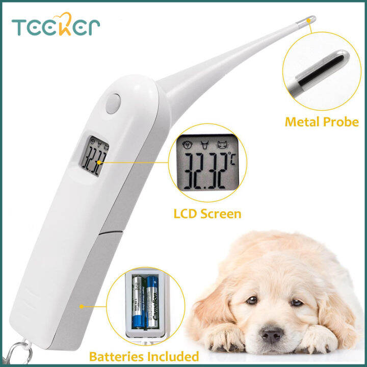 Teeker Dog Temperature Measurement Fast Digital Veterinary Measurement