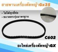 สายพาน เครื่องตัดหญ้า4จังหวะ GX35 อะไหล่ตรงรุ่น