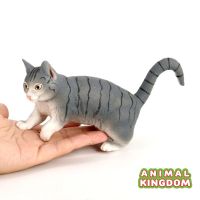 Animal Kingdom - โมเดล Cat แมว เทา ขนาด 17.50 CM (จากสงขลา)