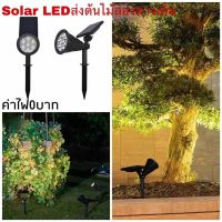 ไฟโซล่าเซลล์ Solar cell โซล่าเซลล์ โซลาเซล SolarNew**14wปรับได้2โหมดของแท้ไฟส่องต้นไม้โซล่าเซลล์ไฟปักสวนปักสนามLED 2*7. 14WNEW *SolarMaglc Ball Solar Light โซล่าเซลล์สปอตไลท์ คุณภาพดี ราคาส่ง