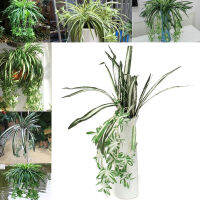 Chlorophytum Comosum การตกแต่งบ้านแมงมุมเทียมผ้าไหม