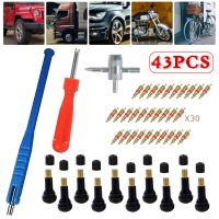 43pcs Universal Car Tyre Valve Repair Tool Durable Plastic Tyres Valves Core Remover For Motorcycles Trucks Tire Repair ToolsTires  Tubes