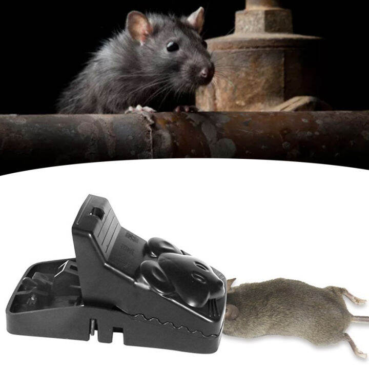 End The Nightmare with the Electric Kitty Mouse Trap. Mousetrap Monday 