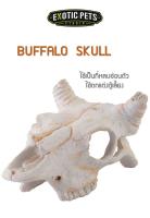 Exo Terra  BUFFALO SKULL SMALL ที่ซ่อนตัว