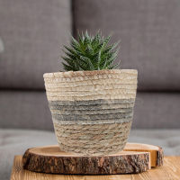 Gerpo【Hot】 3pcs Straw Plant Pot ตะกร้าดอกไม้ทอที่ละเอียดอ่อนตะกร้าดอกไม้งานแต่งงานตกแต่งบ้าน