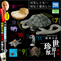 เหมา Takara Tomy Hitoshi Matsumoto World Rare Animals Keychain Rare Designer Toy พวงกุญแจ แรร์ หายาก Animal