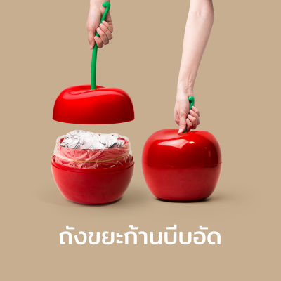 ถังขยะ กล่อง กล่องใส่ของ กล่องอเนกประสงค์ รุ่นเชอรี่ - Qualy Cherry Bin Container