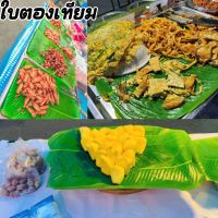 【Junjun】ใบตองปลอม ใบตองเทียม ใบตองปลอม ใบตองเสมือนจริง ฺBanana Leaf