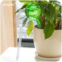 【CW】 Bulb Watering Device Gardening Tools And House/Garden Pot