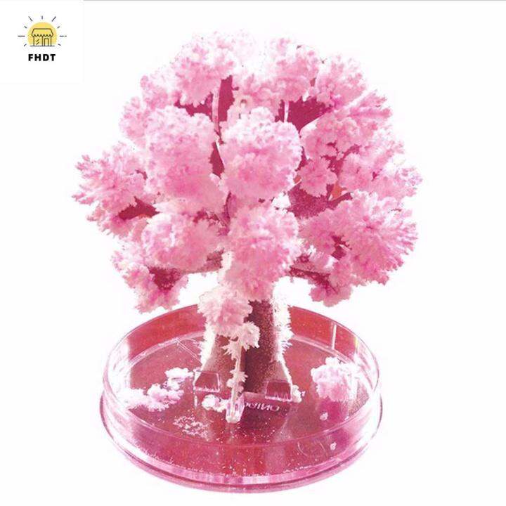 Cheap Decorative DIY Magic Growing Tree Japan Desktop Cherry