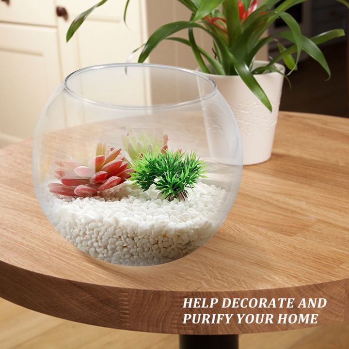 round-sphere-vase-in-transparent-glass-fish-tank