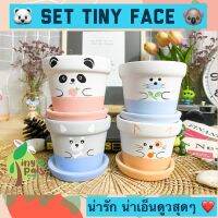 กระถางต้นไม้ 3.5 นิ้ว Set Tiny Face เนื้อดีแข็งแรง ระบายน้ำดี กระถางเซรามิค พาสเทล ละมุน เกรดคุณภาพ กระถางแคคตัส ของแต่งบ้าน