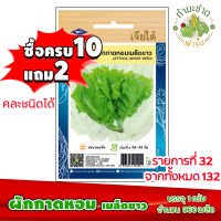 (ซื้อ10แถม2) เมล็ดพันธุ์ ผักกาดหอม เมล็ดขาว Lettuce ประมาณ 960เมล็ด เจียไต๋ เมล็ดพันธุ์พืช เมล็ดพันธุ์ผัก เมล็ดผัก เม็ดผัก ผักสวนครัว พืชผัก