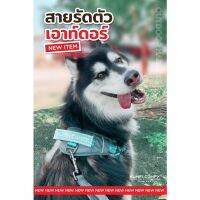 DOG สายจูงสุนัข สายรัดตัวสุนัขเอาท์ดอร์ Outdoor chest strap - Kumfi Comfy จากตัวแทนจำหน่ายอย่างเป็นทางการ เจ้าเดียวในประเทศไทย