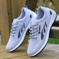 2021 pet sandals net cloth lai bottom coconut male shoes summer ventilation casual shoes sneakers joker torre tide