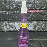 Caring Spray Netแคริ่ง สเปรย์เนท (ชนิดแข็ง)120มล.