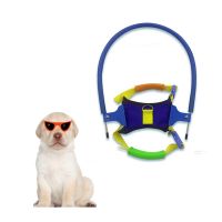 สัตว์เลี้ยงปลอดภัย Halo Harness สำหรับ Blind Dog Blind สัตว์เลี้ยง Anti-Collision แหวน Scorpion Cataract Animal Protection Guide Dog Harness