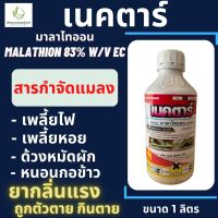 เนคตาร์ (มาลาไทออน) malathion 83% W/v EC ขนาด 1 ลิตร กำจัดด้วงหมัดผัก เพลี้ยไฟ เพลี้ยหอย