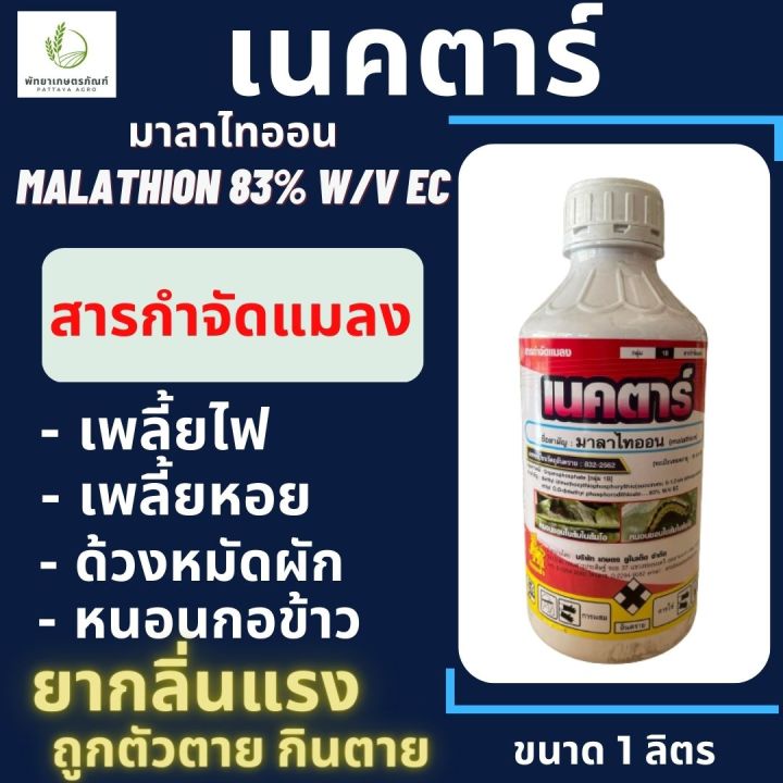 เนคตาร์-มาลาไทออน-malathion-83-w-v-ec-ขนาด-1-ลิตร-กำจัดด้วงหมัดผัก-เพลี้ยไฟ-เพลี้ยหอย