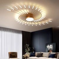 New Style led Chandelier For Living Room Bedroom household Modern Led Ceiling fireworks Chandelier Creative Lamp Fixture Frame