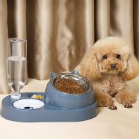 Pet Dog Bowl Automatic Water Feeder Cat Food Bowl with Water Fountain Bowl Drinking Raised Stand Dish Bowls 2 In 1 Cat Food Bowl