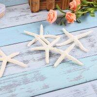 Shell natural five-finger starfish 7-10cm jewelry ornaments accessories handmade DIY aquarium fish tank landscape