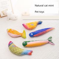 Plush Pet Toy For Cats Catnip Toys Fish Cat Toy Kitten Toys Gift Simulation Fish Cat Mint Pillow Cat Supplies Dropship