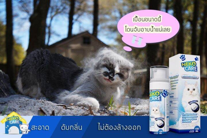 neko-care-โฟมอาบน้ำแมว-โฟมอาบน้ำแห้ง-แชมพูอาบน้ำ-แชมพูโฟมอาบแห้งน้องแมว-ฟองโฟมอาบน้ำ-แชมพูอาบน้ำแมว-ชมพูอาบน้ำแมว-ดับกลิ่น