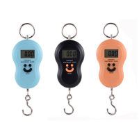 BC 50Kg/10G เครื่องชั่งดิจิตอลแบบแขวนแบบพกพาพร้อม Backlight Electronic Fishing Weights Pocket Scale เครื่องชั่งน้ำหนักกระเป๋าเดินทางพร้อมตะขอ